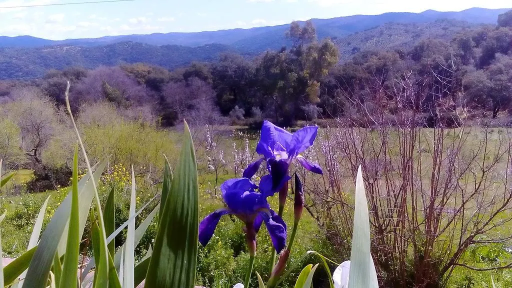 La Cartuja de Cazalla Cazalla de la Sierra Casa rural